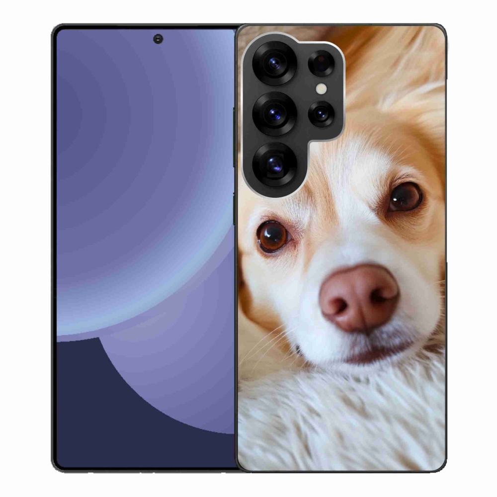 Gél borító mmCase Samsung Galaxy S25 Ultra - Aranyos csivava - Samsung Galaxy S25 Ultra számára