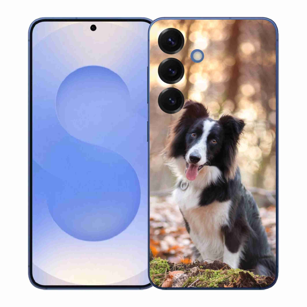 Gél borító mmCase Samsung Galaxy S26+ - border colie 1