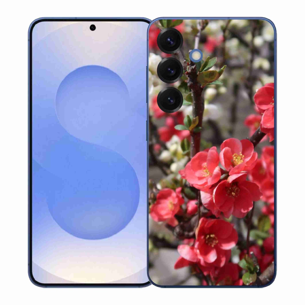 Gél védőhuzat mmCase Samsung Galaxy S26+ - piros virágok