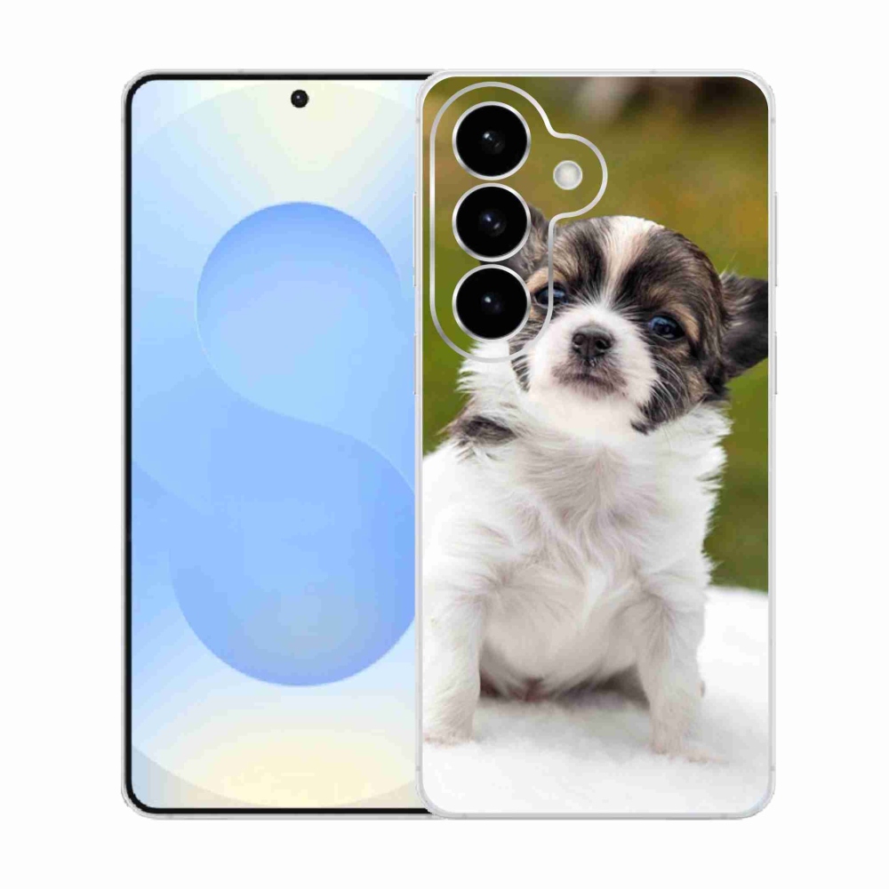 Gél borító mmCase Samsung Galaxy S26 - chihuahua 4