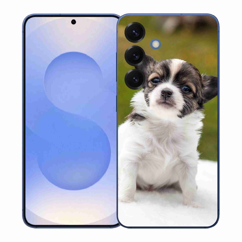 Gél borító mmCase Samsung Galaxy S26+ - chihuahua 4