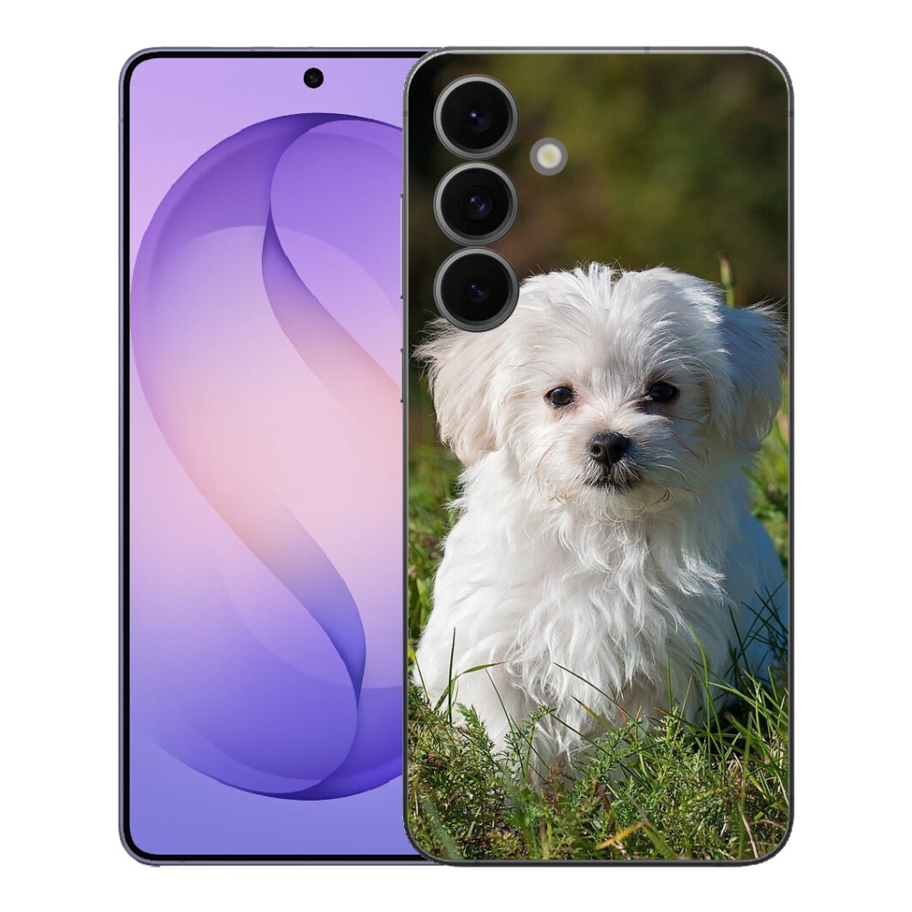 mmCase gél tok a Samsung Galaxy S26 FE-hez – bichon frisé