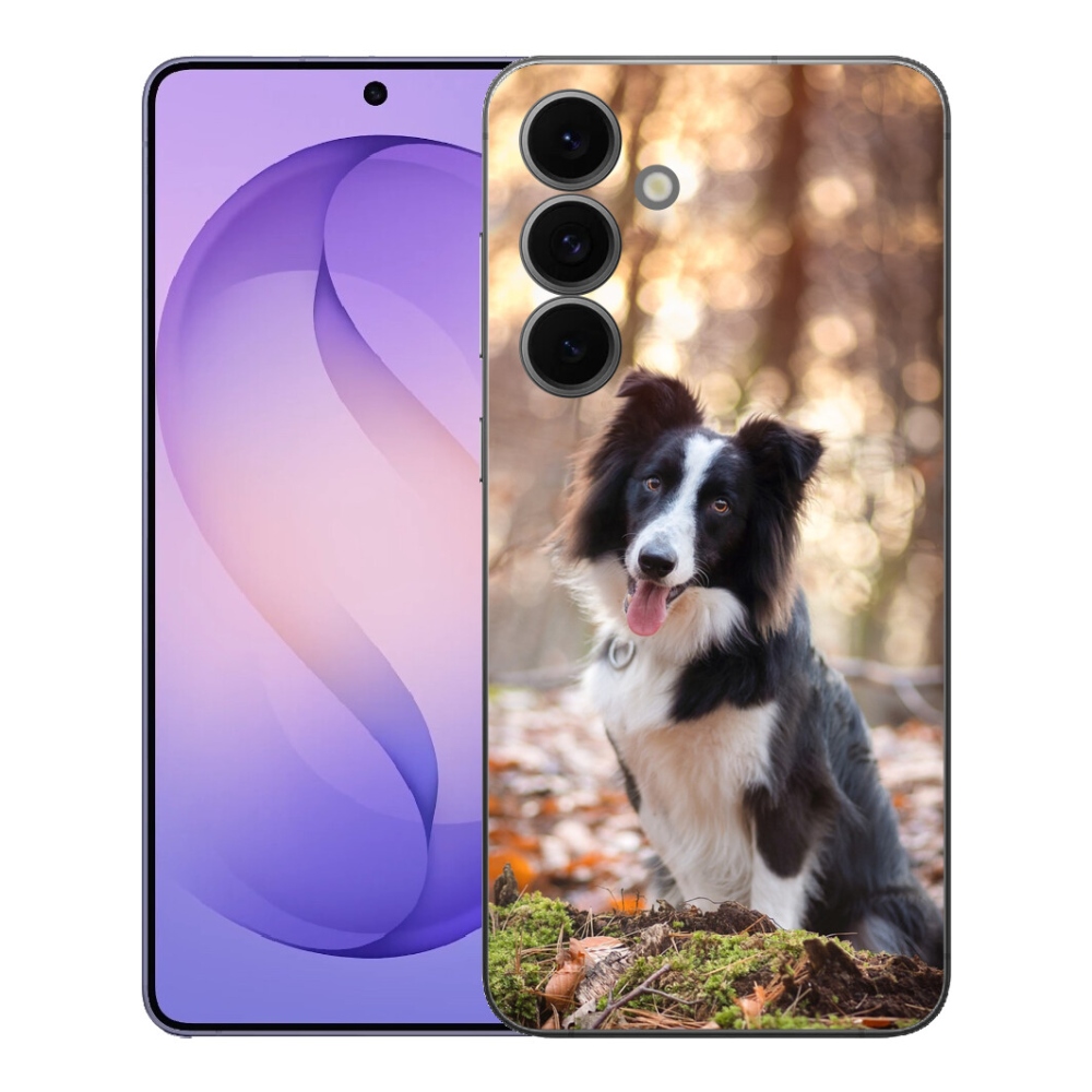mmCase gél tok a Samsung Galaxy S26 FE-hez – border collie 1