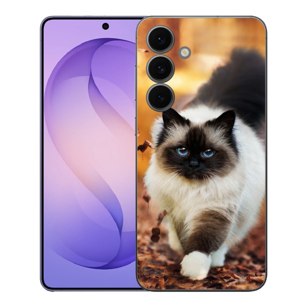 mmCase géltok a Samsung Galaxy S26 FE-hez – macska