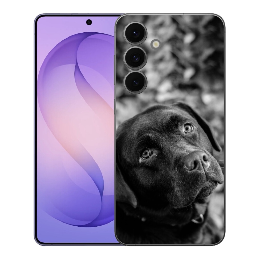 mmCase géltok a Samsung Galaxy S26 FE-hez – labrador