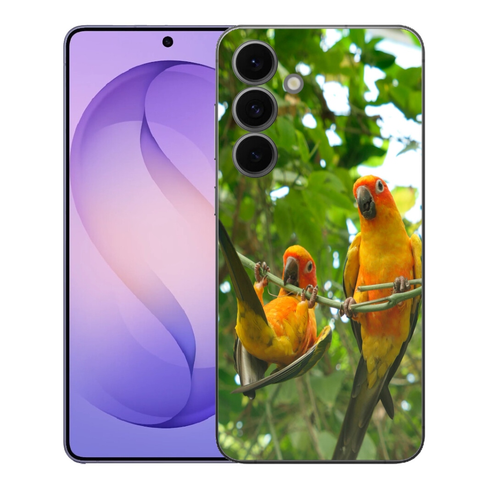 mmCase géltok a Samsung Galaxy S26 FE-hez – aratinga papagájok