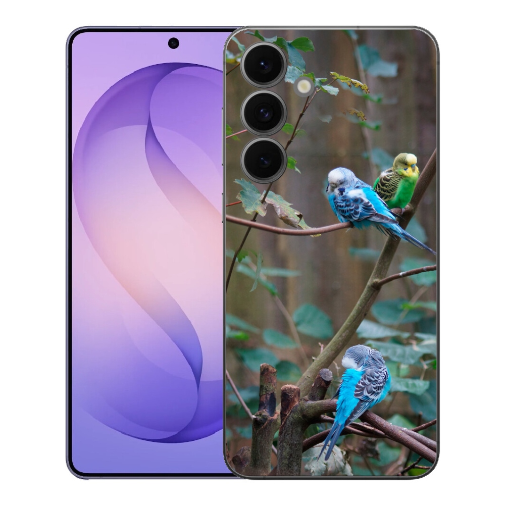 mmCase géltok a Samsung Galaxy S26 FE-hez – papagájok egy ágon