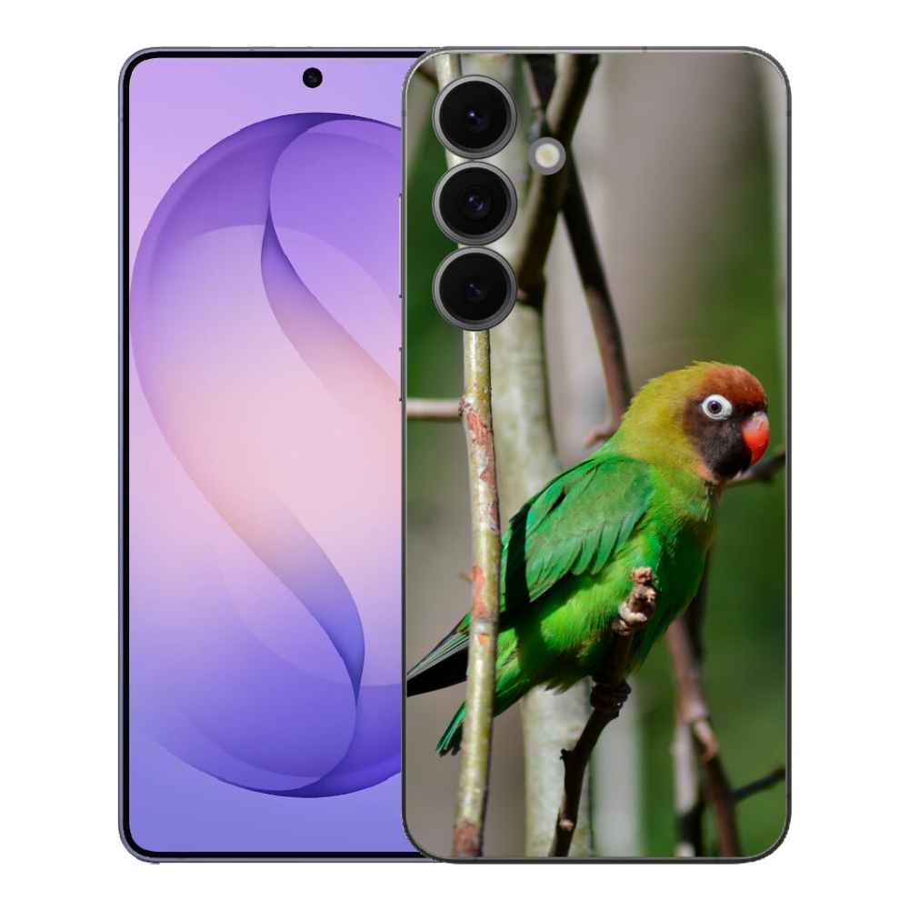 mmCase gélhuzat a Samsung Galaxy S26 FE-hez – agapornis papagáj