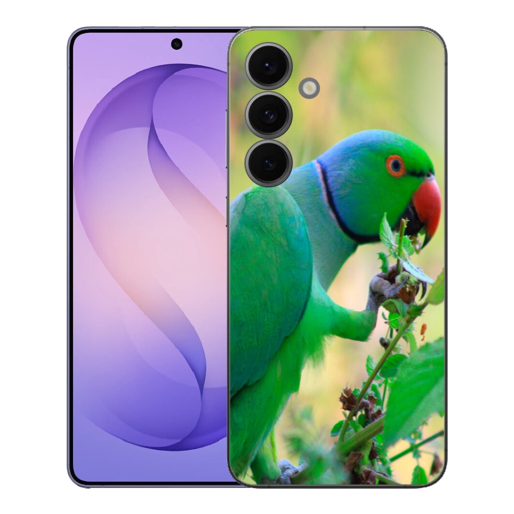 mmCase géltok a Samsung Galaxy S26 FE-hez – alexandriai papagáj