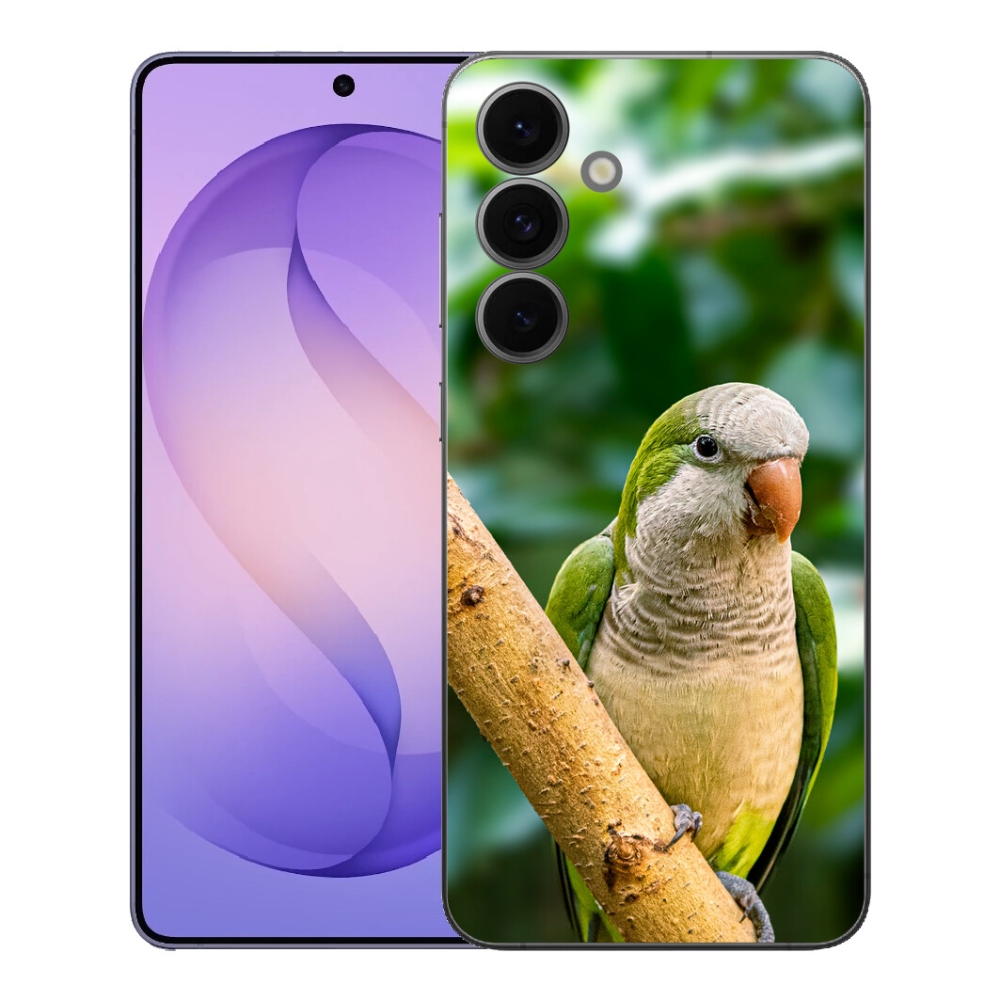 mmCase gél tok a Samsung Galaxy S26 FE-hez – papagáj és szerzetesmadár