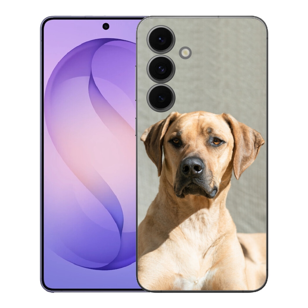 mmCase gélhuzat a Samsung Galaxy S26 FE-hez – ridgeback