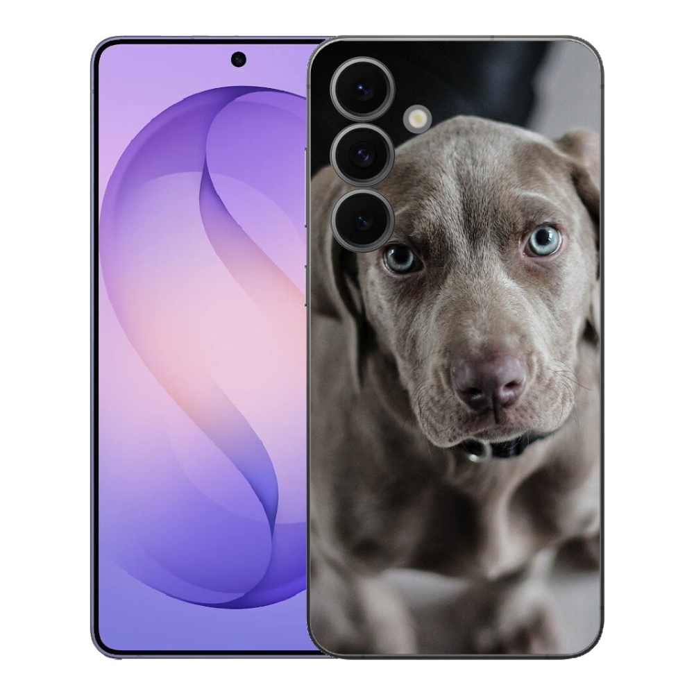 mmCase géltok a Samsung Galaxy S26 FE-hez – weimari vizsla