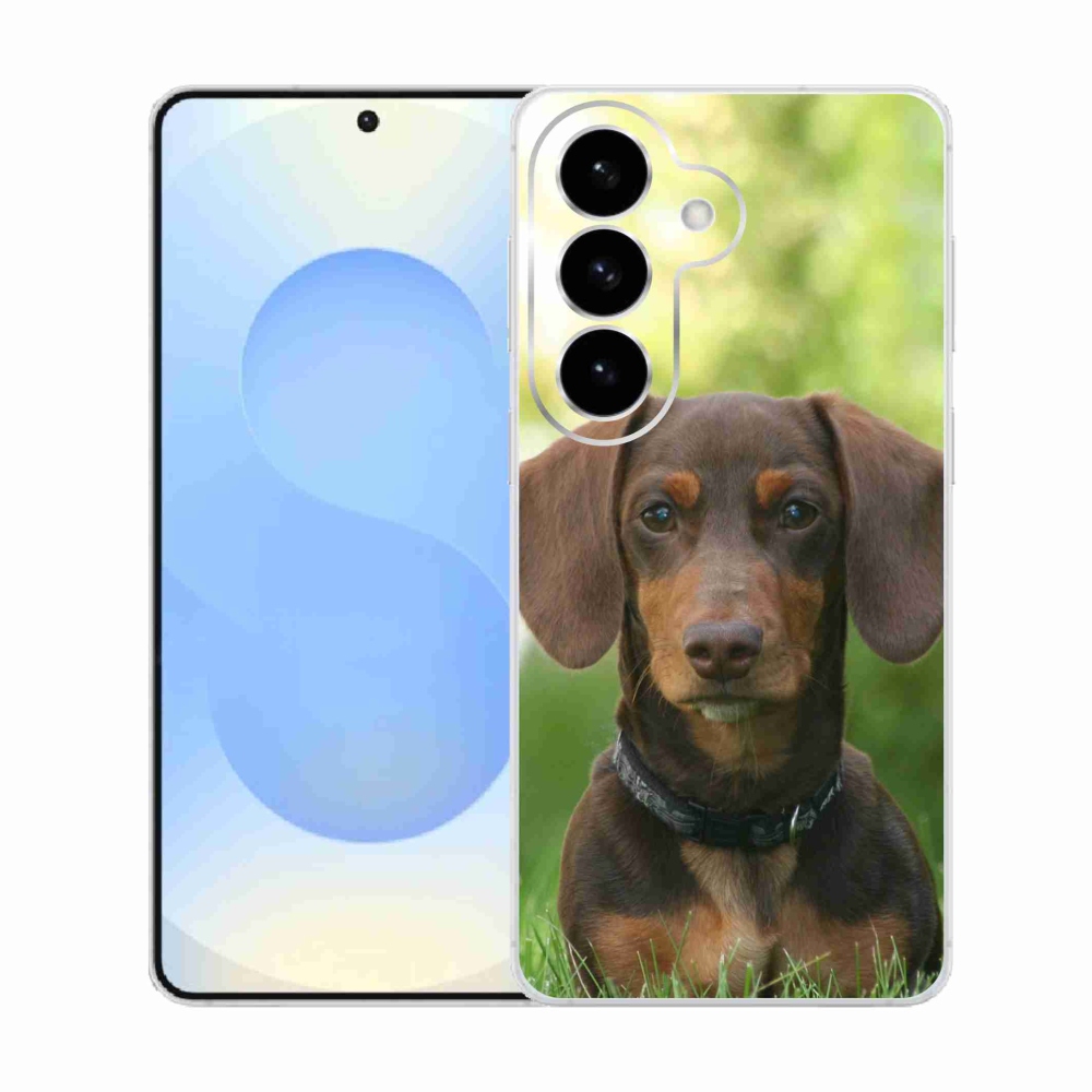 Zselés borítás mmCase Samsung Galaxy S26 készülékhez - barna tacskó