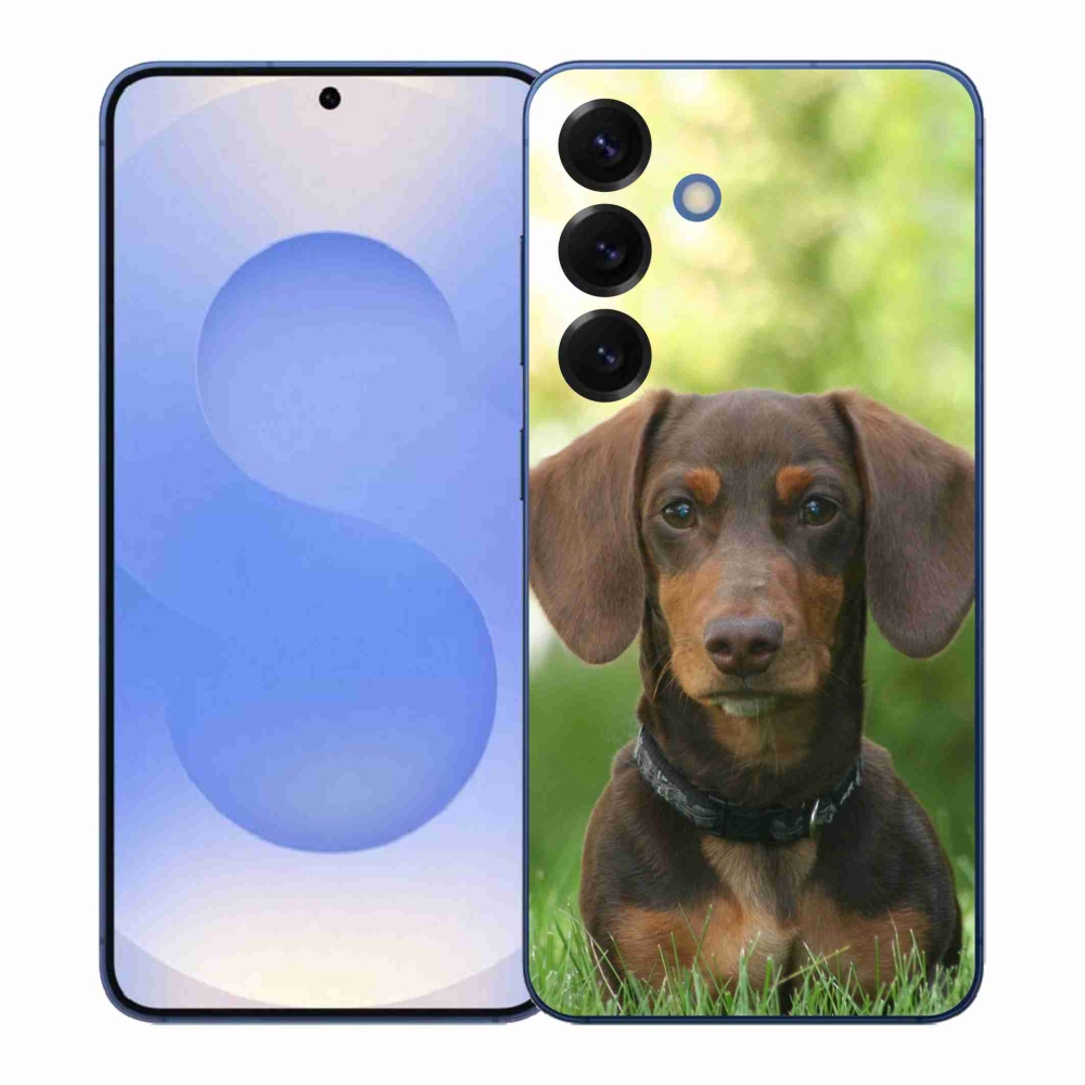 Zselés borítás mmCase Samsung Galaxy S26+ készülékhez - barna tacskó