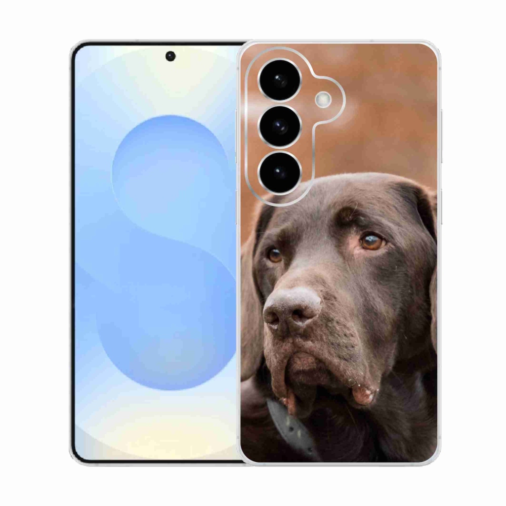 Zselés borítás mmCase Samsung Galaxy S26 készülékhez - barna labrador