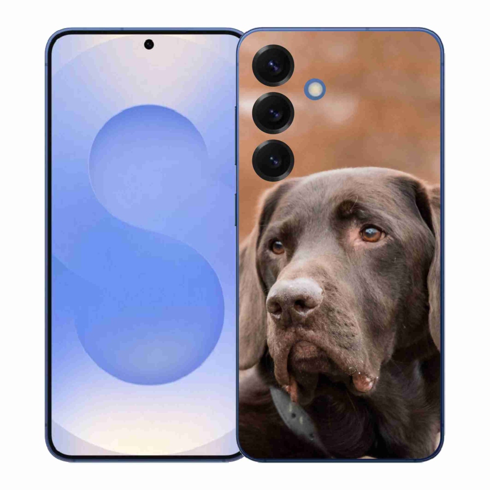 Zselés borítás mmCase Samsung Galaxy S26+ készülékhez - barna labrador