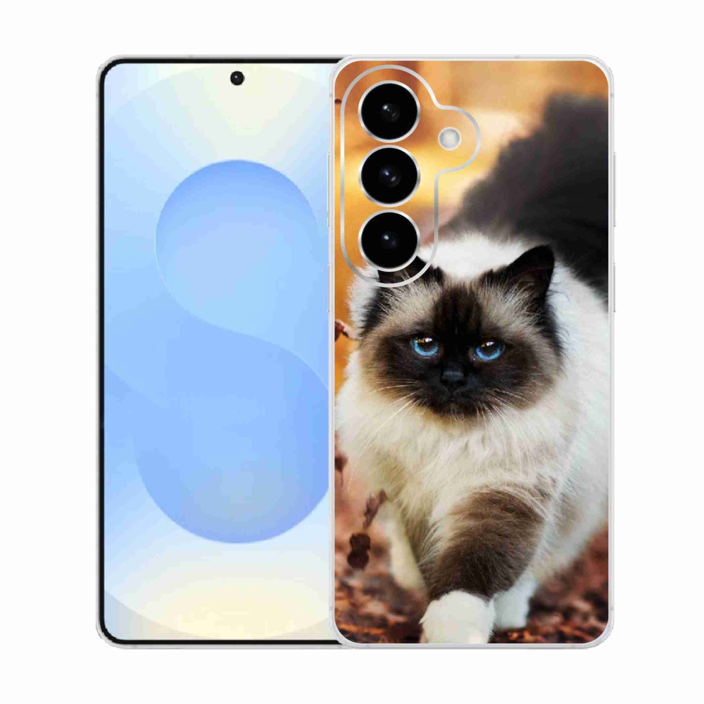 Zselés borítás mmCase Samsung Galaxy S26 készülékhez - macska