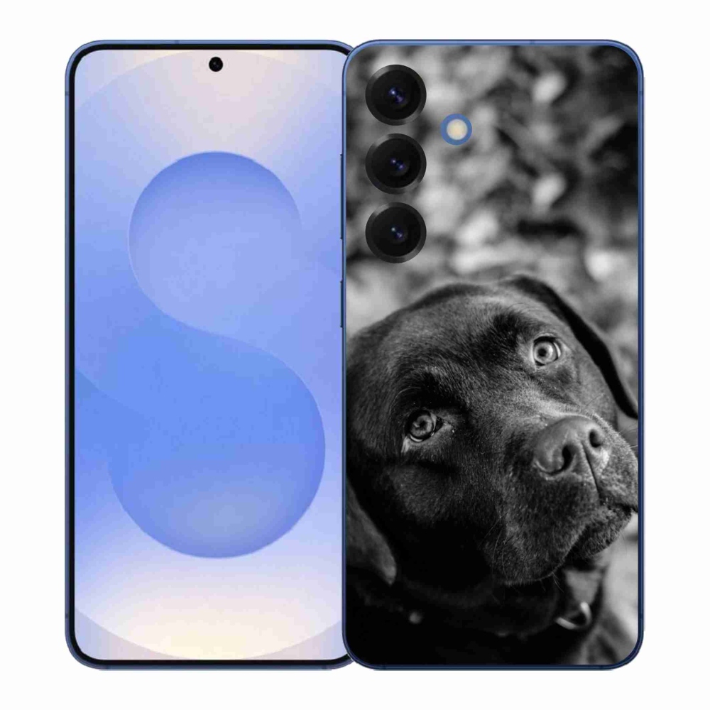 Zselés borítás mmCase Samsung Galaxy S26+ készülékhez - labrador