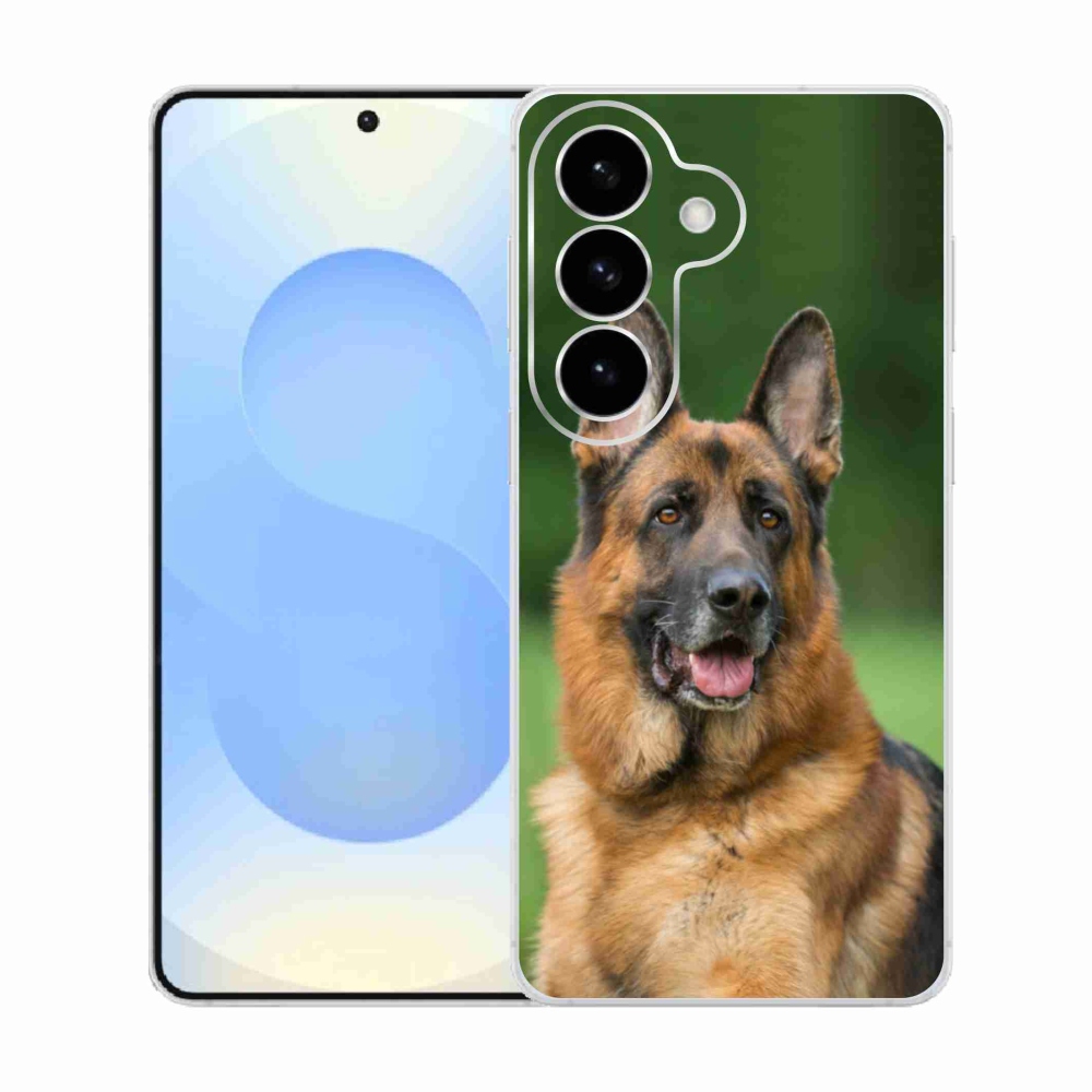Gél borítás mmCase Samsung Galaxy S26 készülékhez - Német juhászkutya