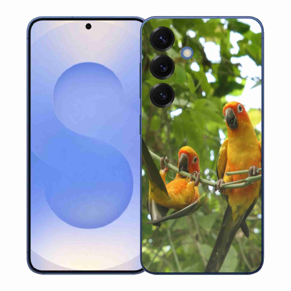 Gél borítás mmCase Samsung Galaxy S26+ - papagájok aratingy