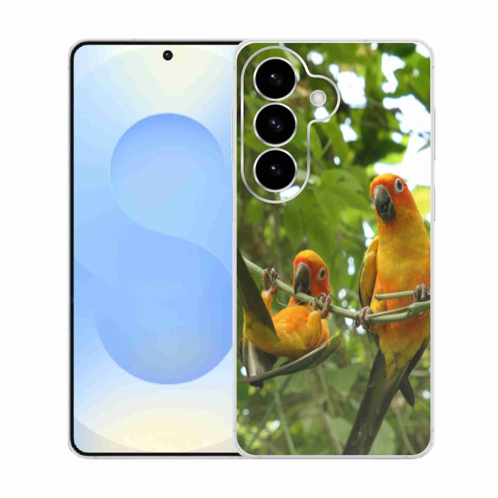 Gél borítás mmCase Samsung Galaxy S26 készülékhez - papagájok aratingy