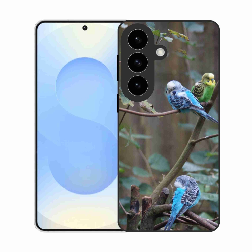 Gél borító mmCase Samsung Galaxy S26 készülékhez - papagájok az ágon