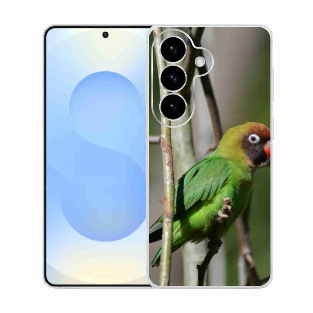 Gél borítás mmCase Samsung Galaxy S26 készülékhez - papagáj agapornis