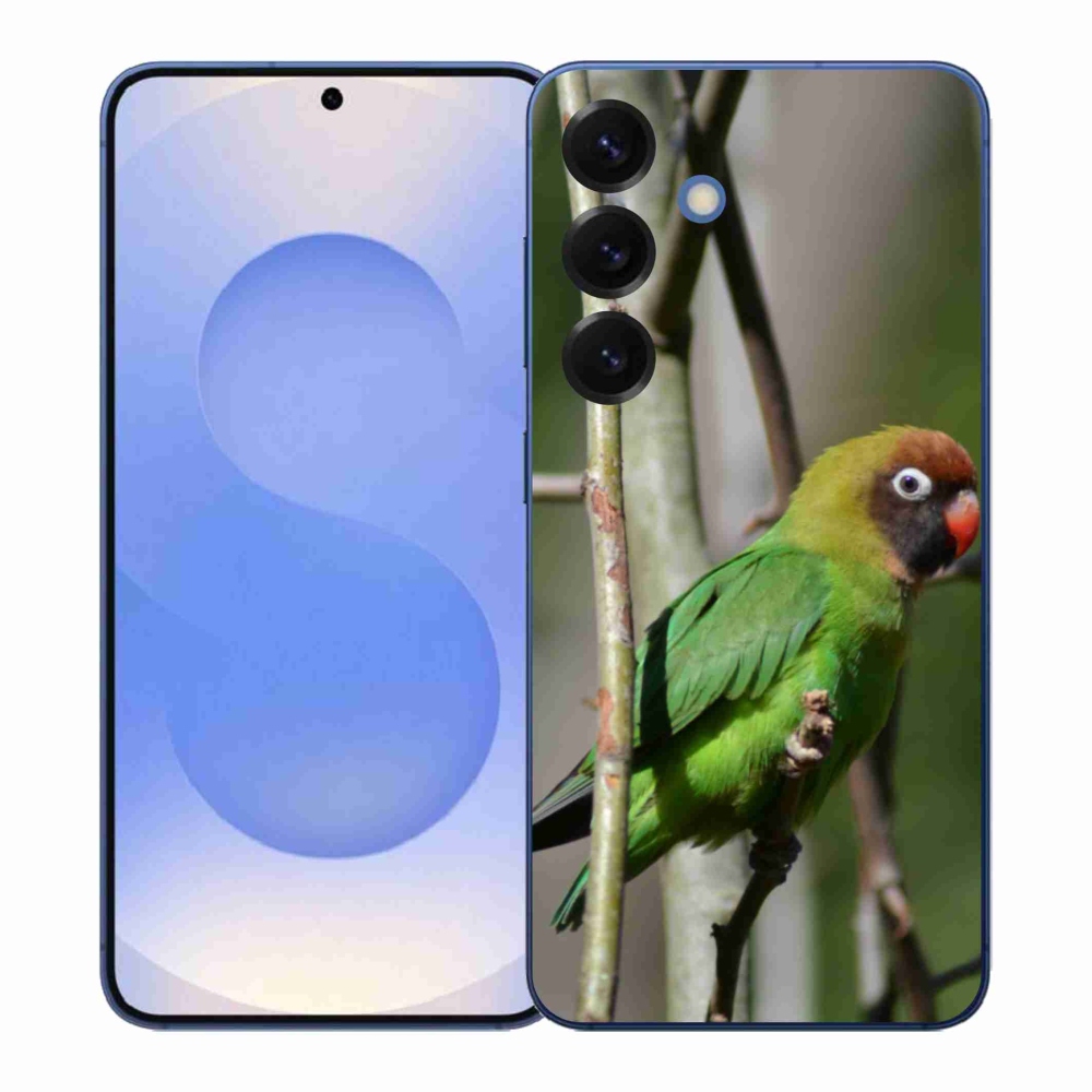 Gél borítás mmCase Samsung Galaxy S26+ - papagáj agapornis