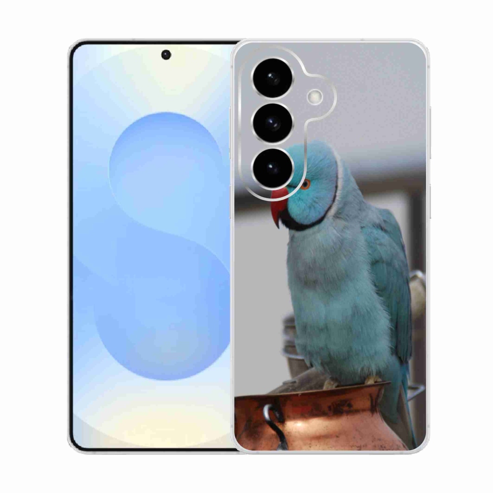 Zselés borítás mmCase Samsung Galaxy S26 készülékhez - papagáj alexander kék