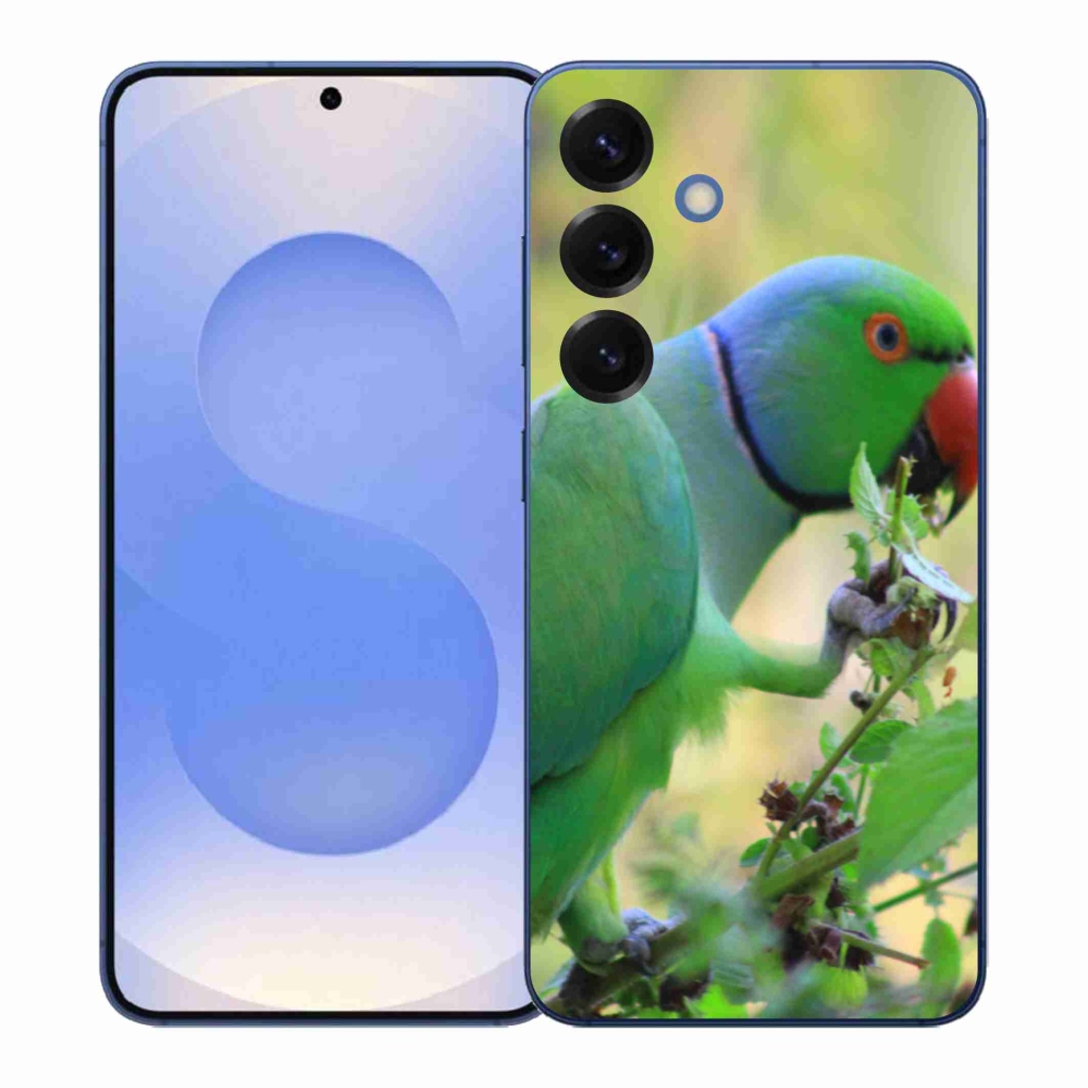 Zselés borítás mmCase Samsung Galaxy S26+ készülékhez - papagáj alexandr