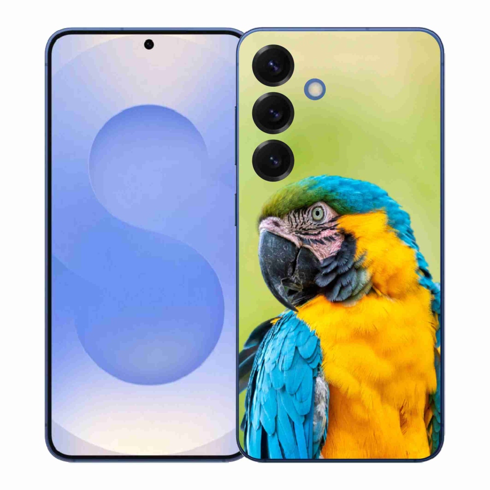 Zselés borítás mmCase Samsung Galaxy S26+ - papagáj ara 2