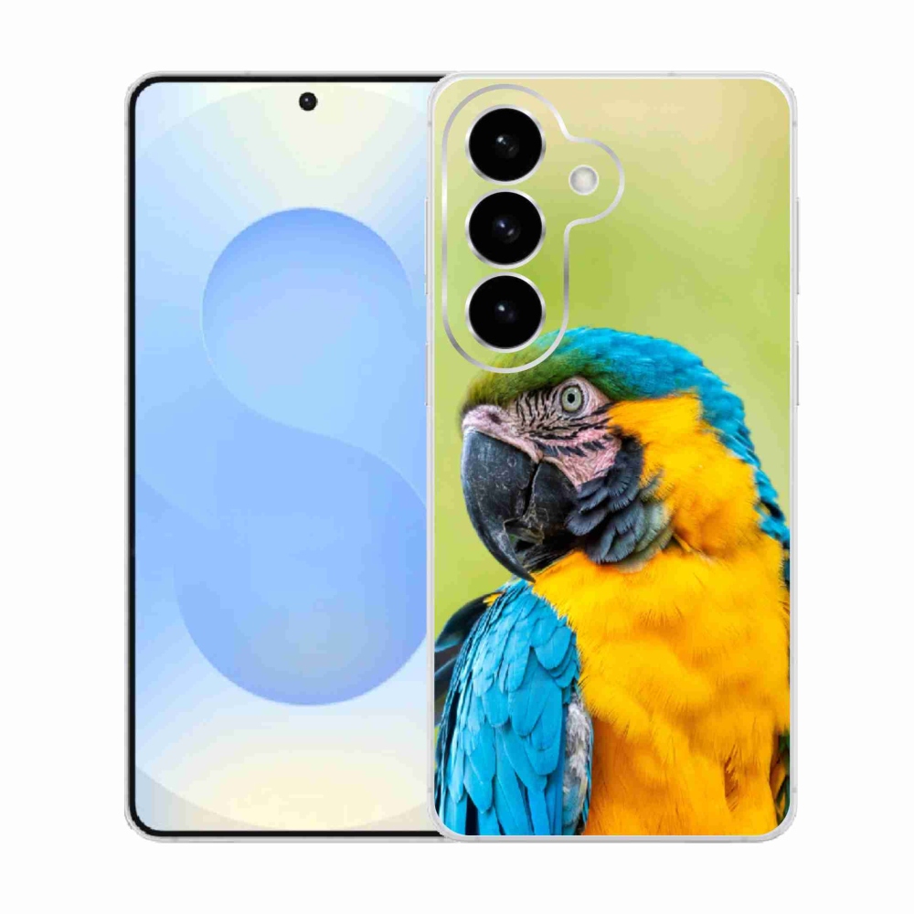Gél borítás mmCase Samsung Galaxy S26 készülékhez - papagáj ara 2