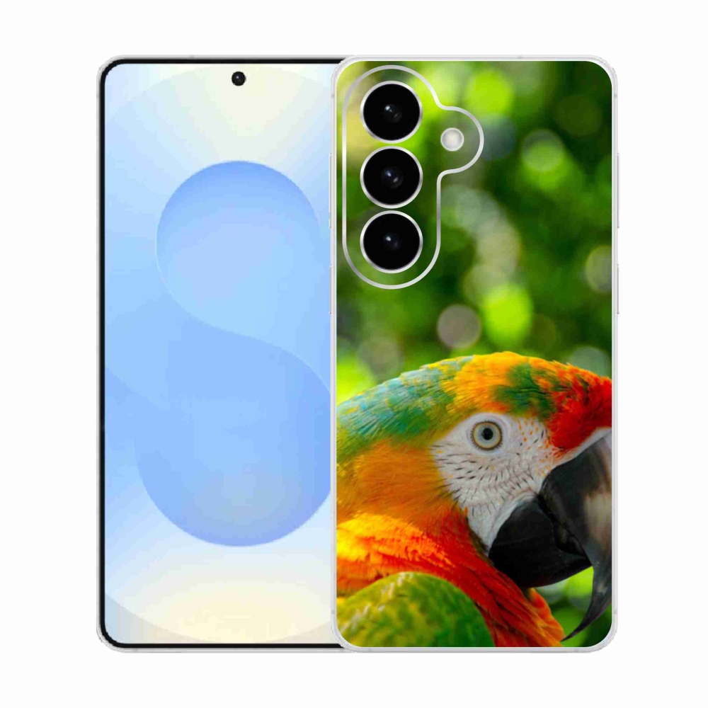 Gél borítás mmCase Samsung Galaxy S26 készülékhez - papagáj ara 3