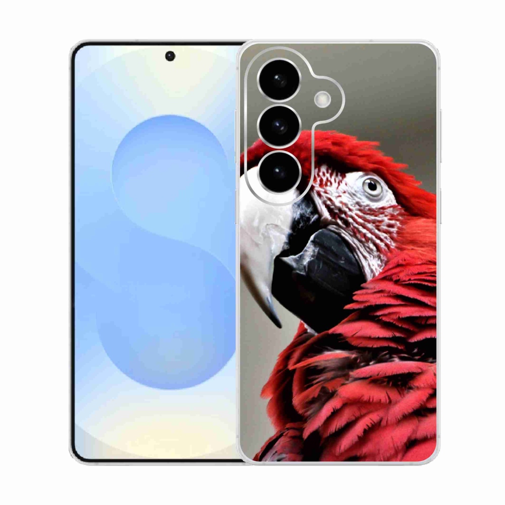 Zselés borítás mmCase Samsung Galaxy S26 készülékhez - papagáj ara piros