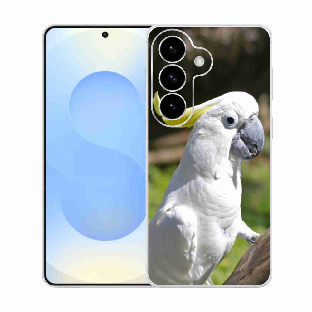 Gél borítás mmCase Samsung Galaxy S26 készülékhez - papagáj kakadu 2