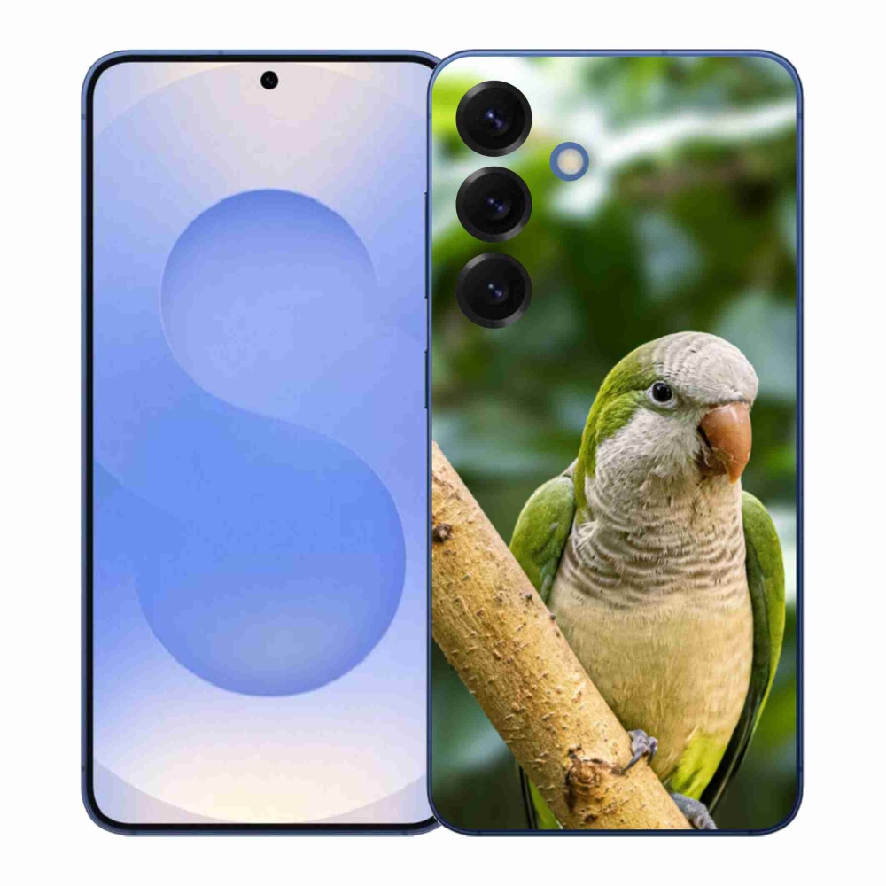 Zselés borítás mmCase Samsung Galaxy S26+ készülékhez - papagáj