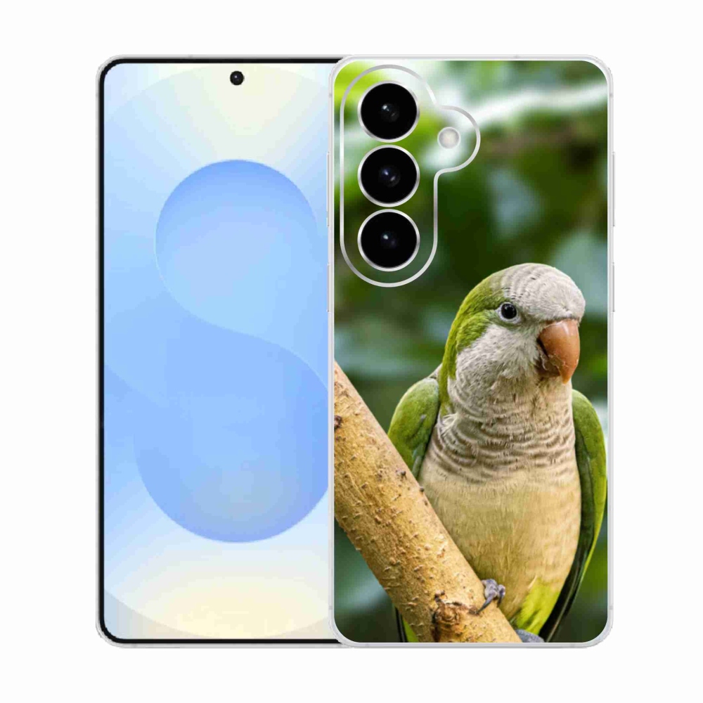 Zselés borító mmCase Samsung Galaxy S26 készülékhez - papagáj