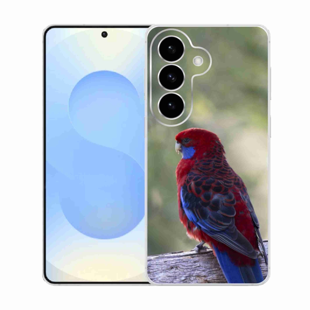 Gél borítás mmCase Samsung Galaxy S26 készülékhez - papagáj rosela