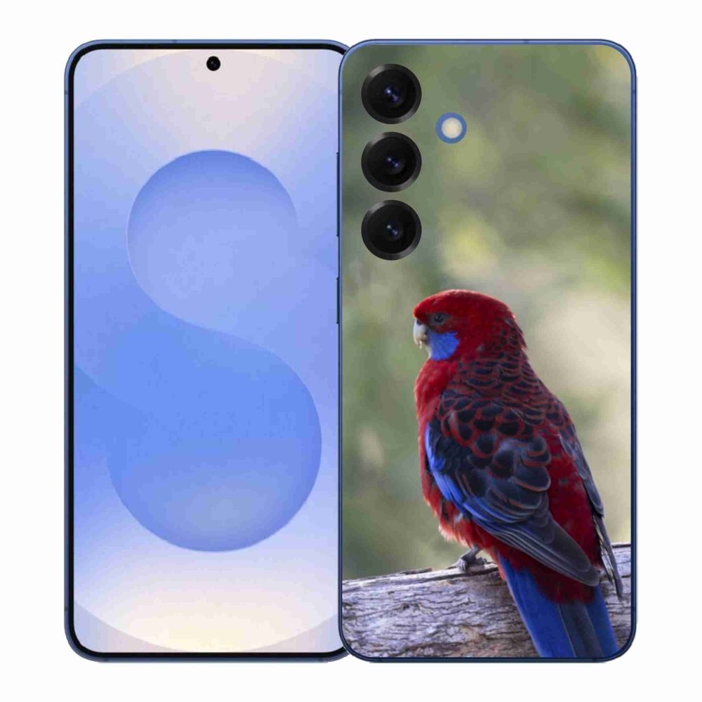 Zselés borítás mmCase Samsung Galaxy S26+ készülékhez - papagáj rosela