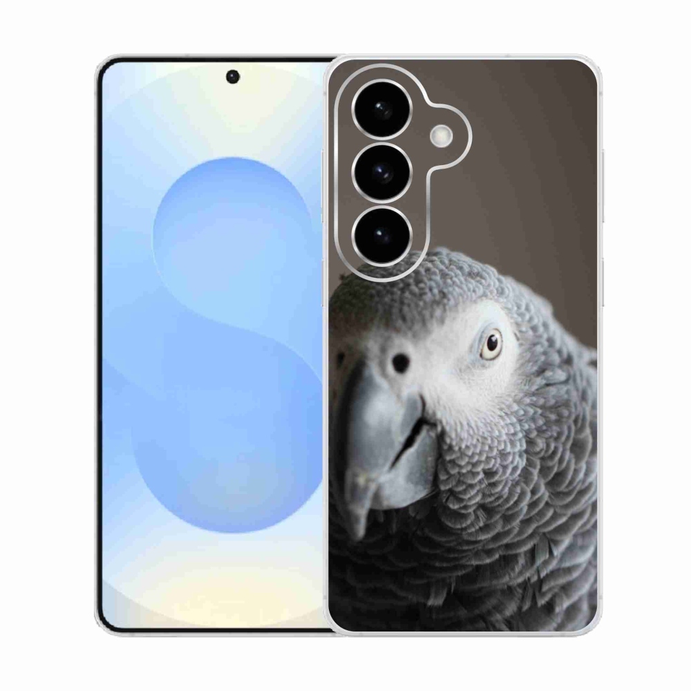 Zselés borítás mmCase Samsung Galaxy S26 készülékhez - papagáj jacko 2