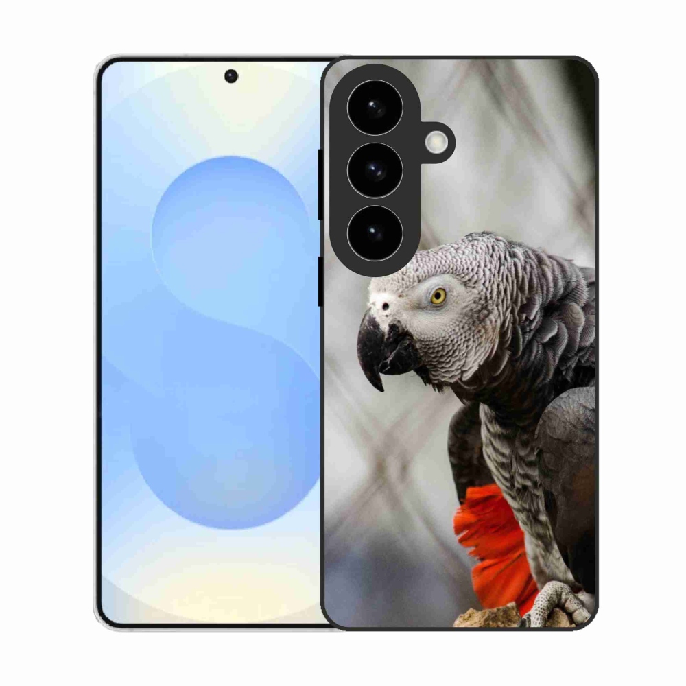 Zselés borítás mmCase Samsung Galaxy S26 készülékhez - papagáj jacko 3