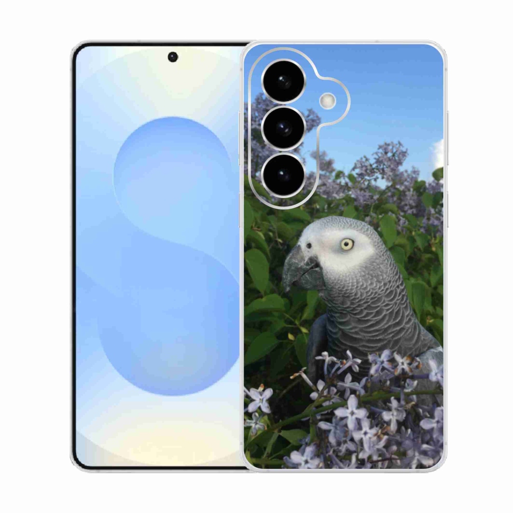 Gél borítás mmCase Samsung Galaxy S26 készülékhez - papagáj jacco