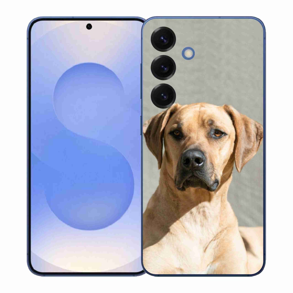 Zselés borítás mmCase Samsung Galaxy S26+ készülékhez - ridgeback