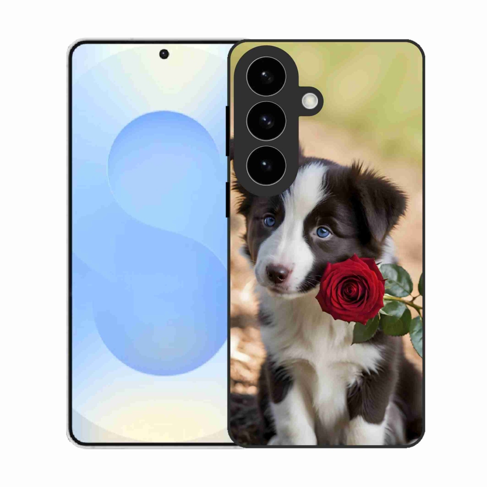 Gél borítás mmCase Samsung Galaxy S26 készülékhez - aranyos border collie rózsával