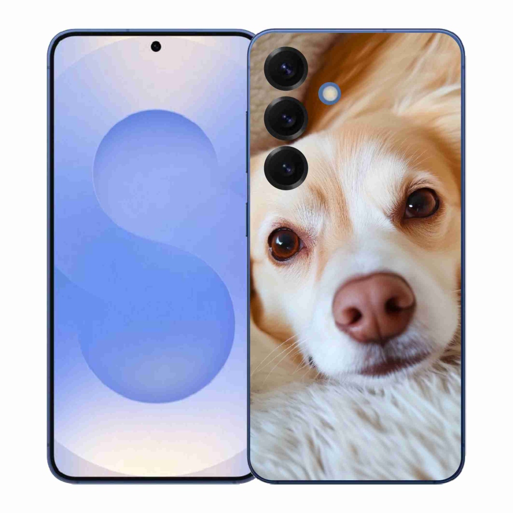 Zselés borítás mmCase Samsung Galaxy S26+ készülékhez - Aranyos csivava