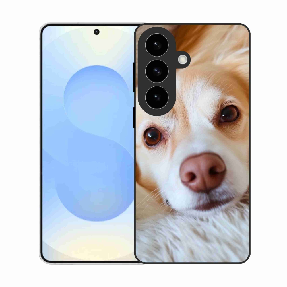 Gél borítás mmCase Samsung Galaxy S26 készülékhez - Aranyos csivava