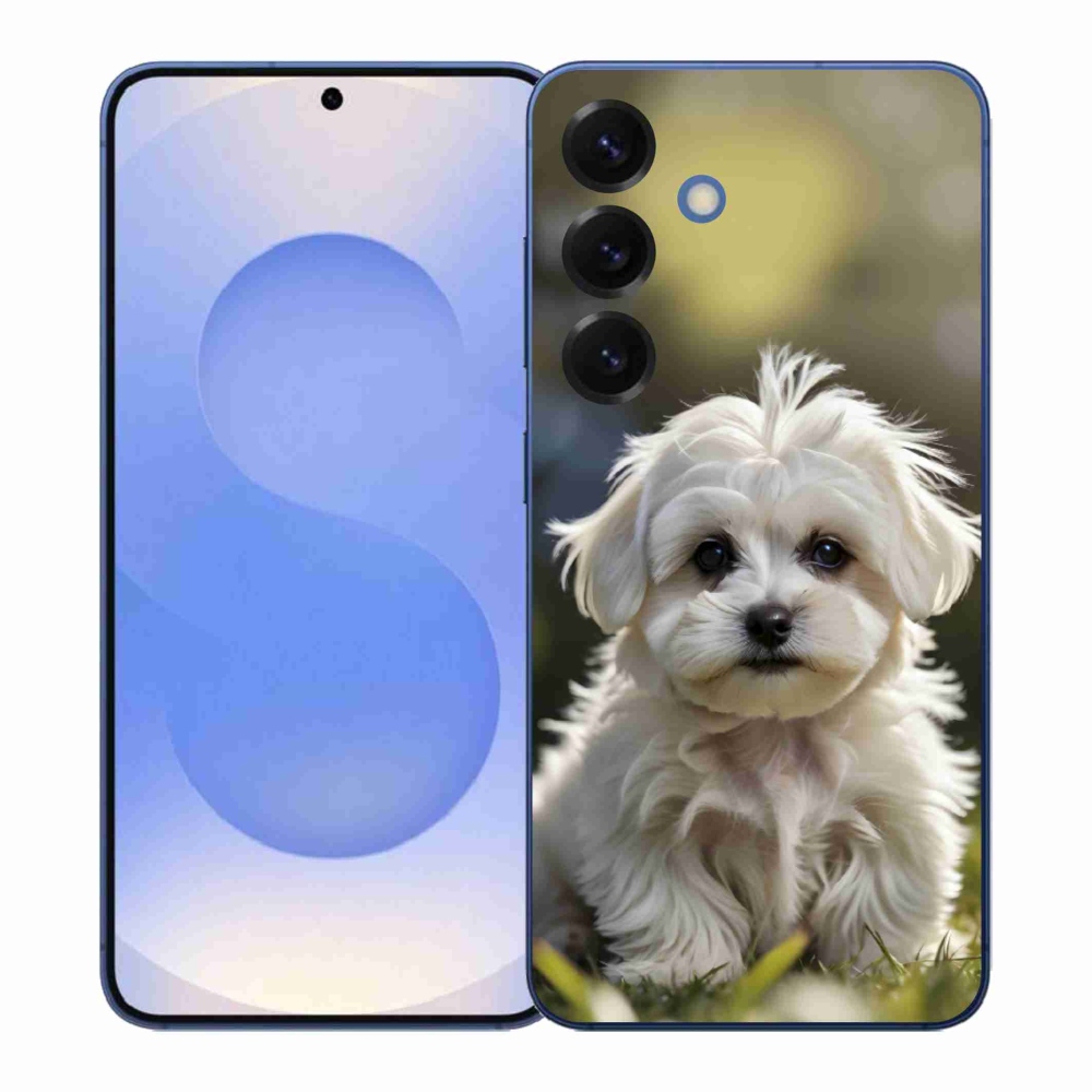 Gél borítás mmCase Samsung Galaxy S26+ készülékhez - aranyos máltai kutya