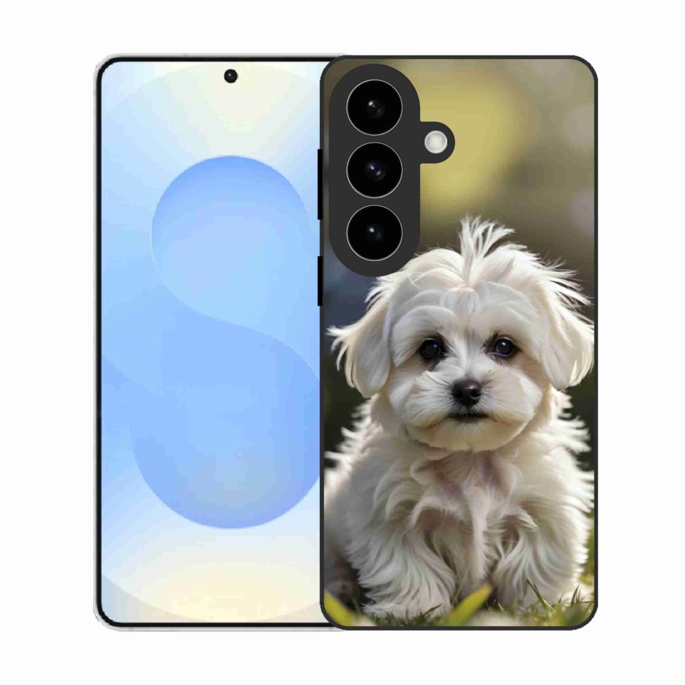 Gél borítás mmCase Samsung Galaxy S26 készülékhez - aranyos máltai kutya