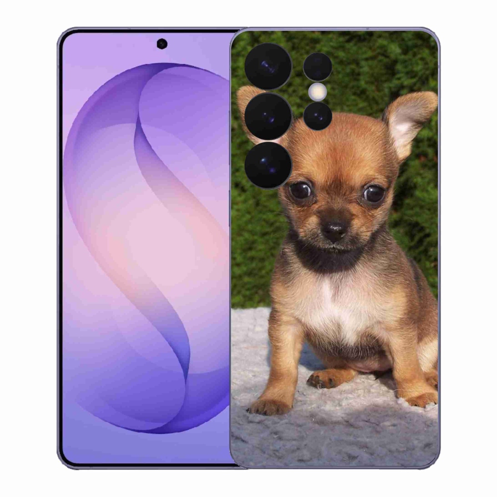 Gél borítás mmCase Samsung Galaxy S26 Ultra - chihuahua 3