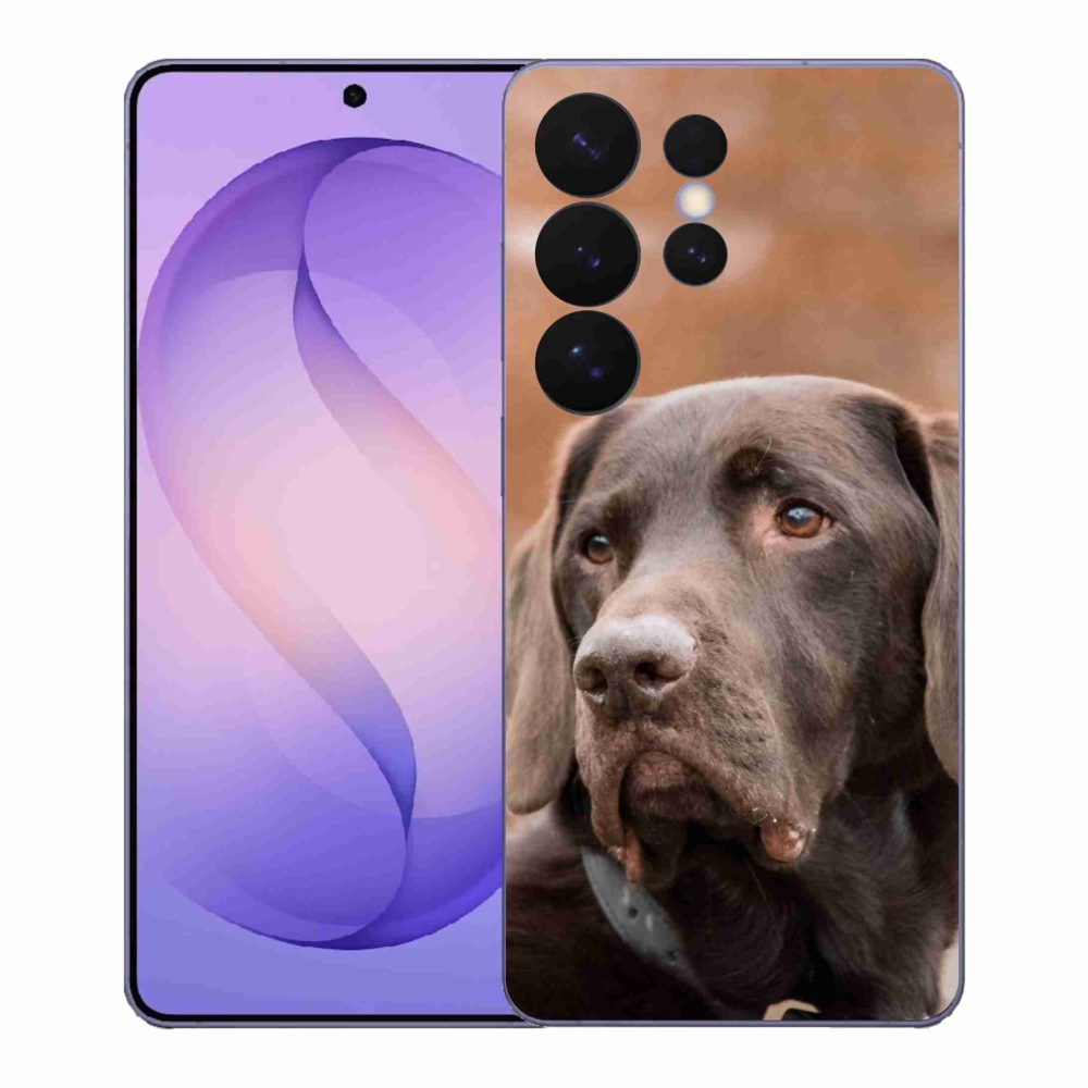 Zselés borítás mmCase Samsung Galaxy S26 Ultra készülékhez - barna labrador